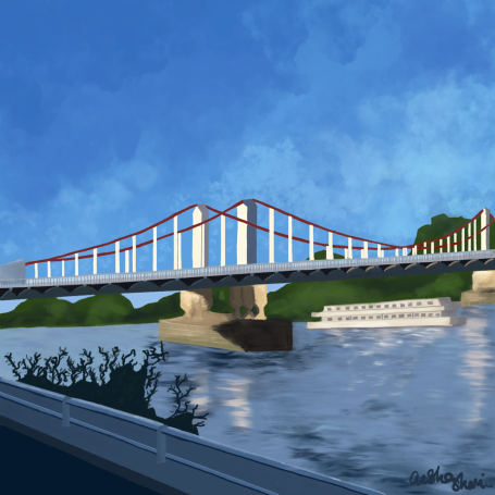 Chelsea Bridge during the day